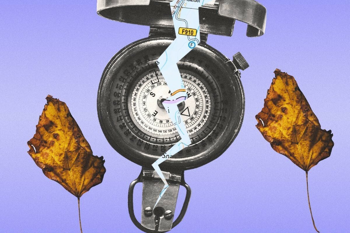 Носите с собой свисток: правила безопасности детей от «Лизы Алерт» Носите с собой свисток: правила безопасности детей от «Лизы Алерт»